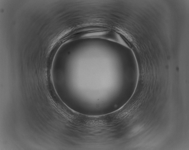 X0000070190535200605301315