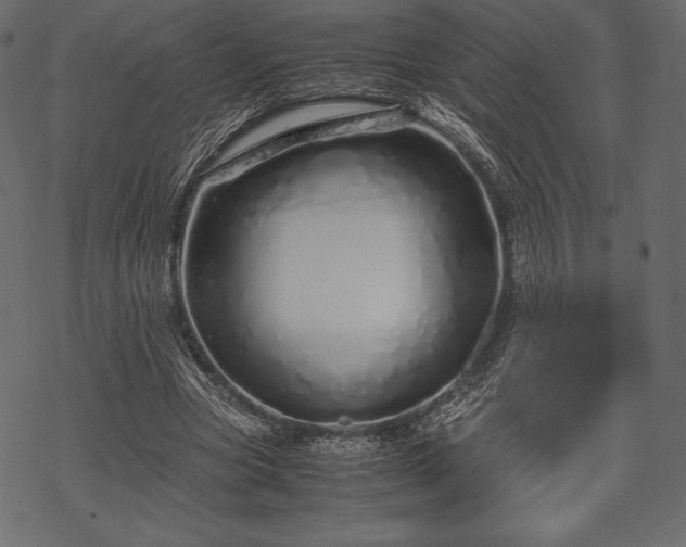 X0000070190537200605301315