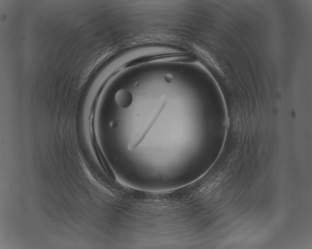 X0000070190538200605301315