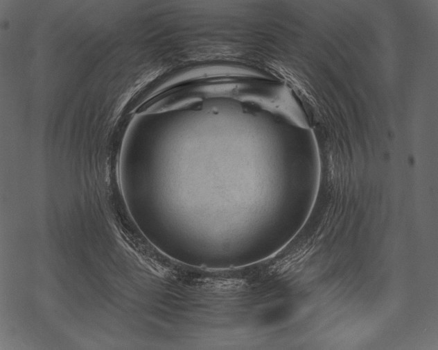 X0000070190539200605301315