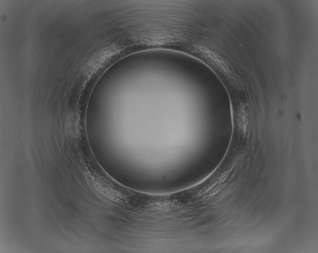 X0000070190540200605301315