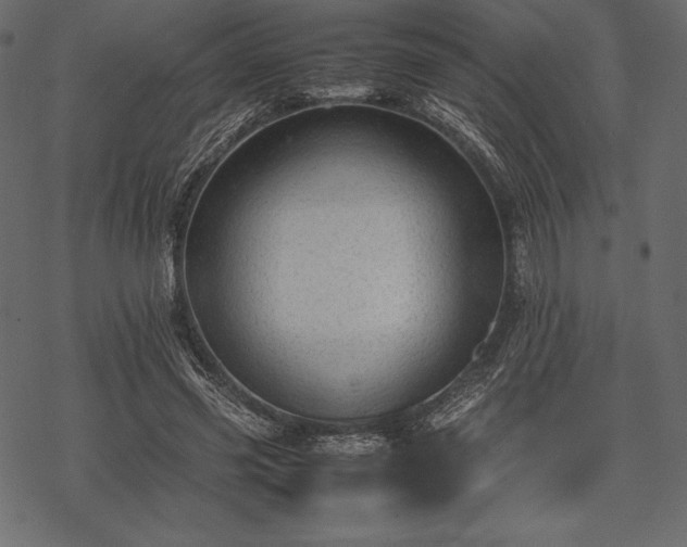 X0000070190541200605301315