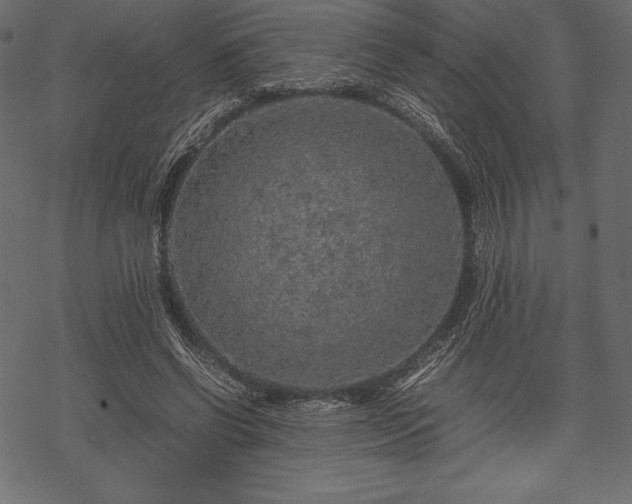 X0000070190542200605301315