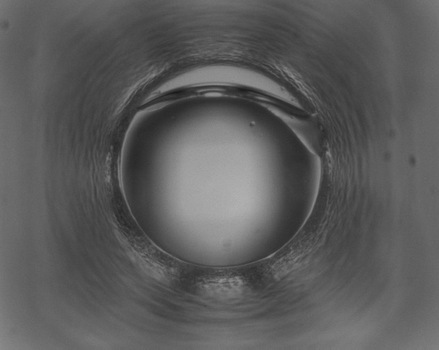 X0000070190543200605301315