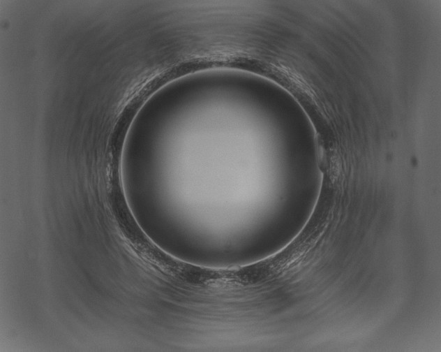 X0000070190544200605301315