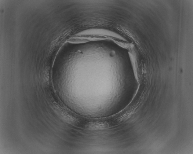 X0000070190545200605301315