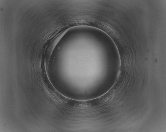 X0000070190546200605301315