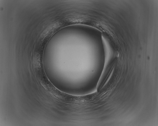 X0000070190547200605301315