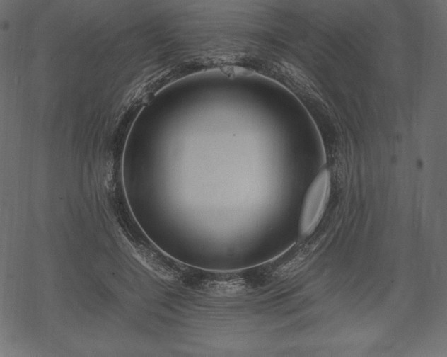 X0000070190548200605301315