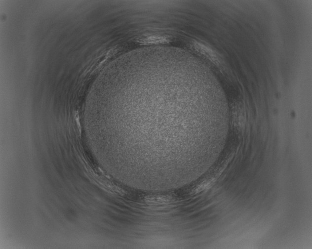 X0000070190549200605301315