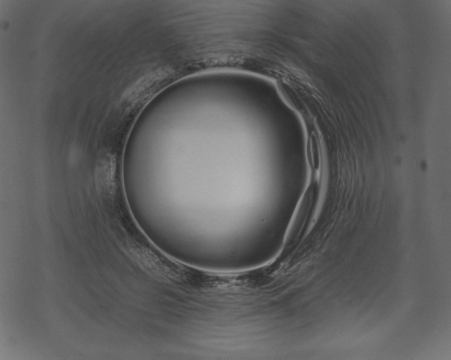 X0000070190550200605301315