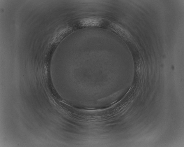 X0000070190551200605301315