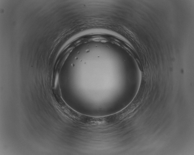 X0000070190552200605301315