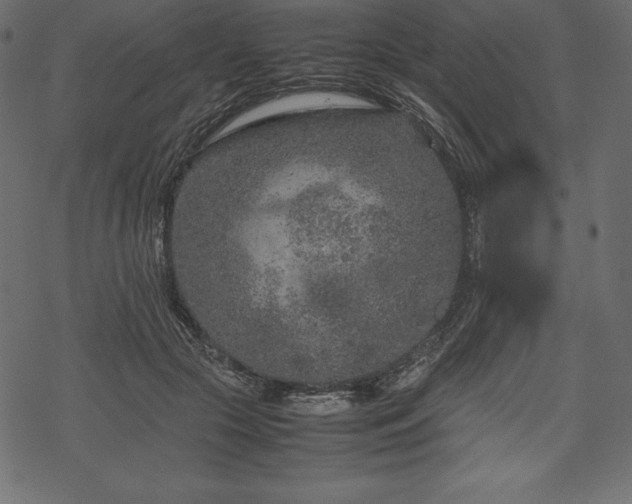 X0000070190553200605301315