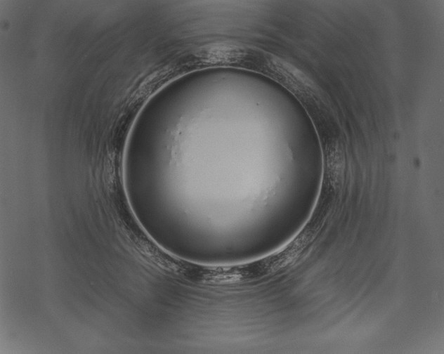 X0000070190554200605301315