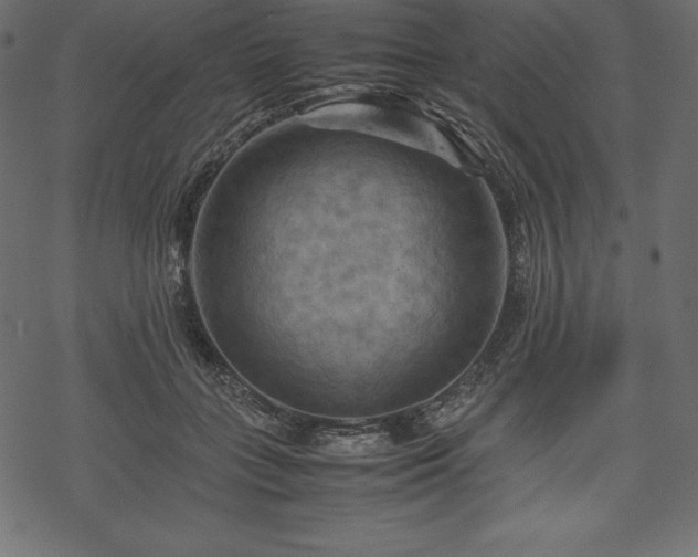 X0000070190555200605301315