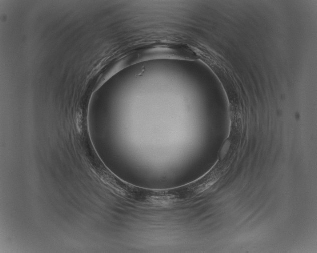 X0000070190556200605301315