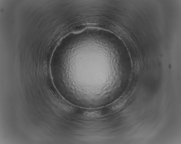 X0000070190557200605301315