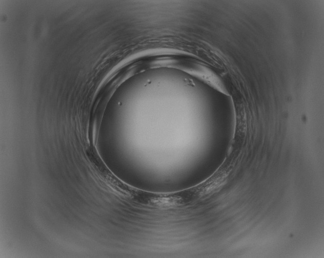 X0000070190558200605301315