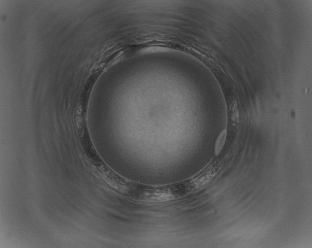 X0000070190559200605301315