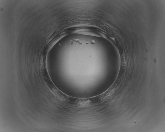 X0000070190560200605301315