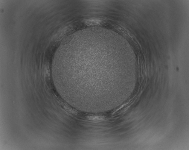 X0000070190561200605301315