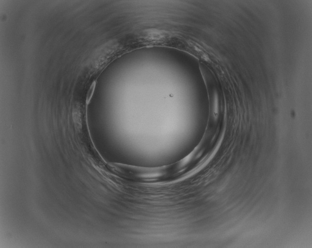 X0000070190562200605301315