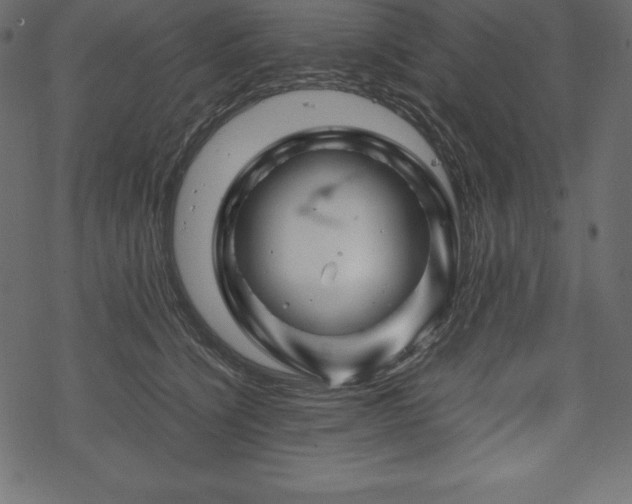 X0000070190564200605301315