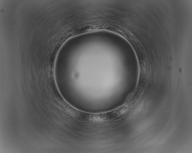 X0000070190565200605301315