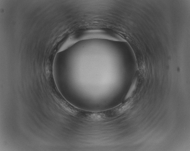 X0000070190566200605301315