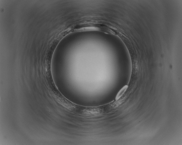 X0000070190567200605301315