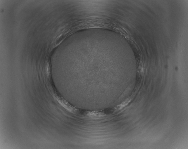 X0000070190568200605301315