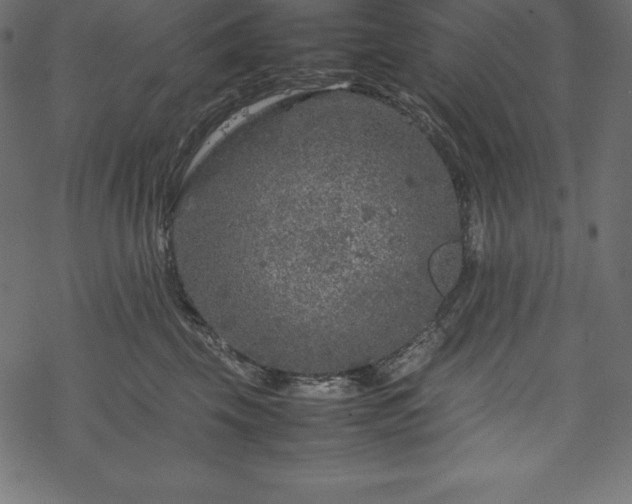 X0000070190569200605301315