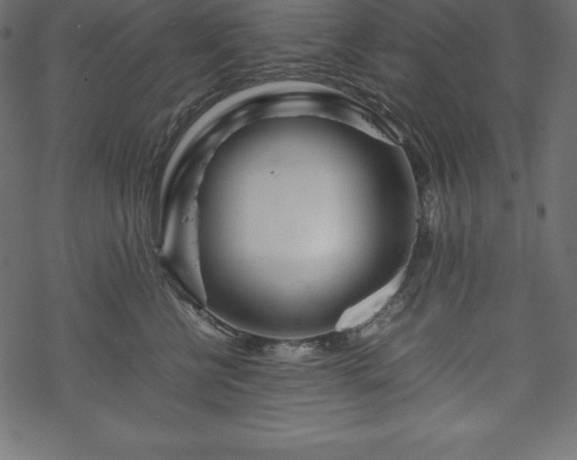 X0000070190570200605301315