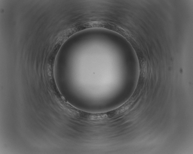 X0000070190571200605301315