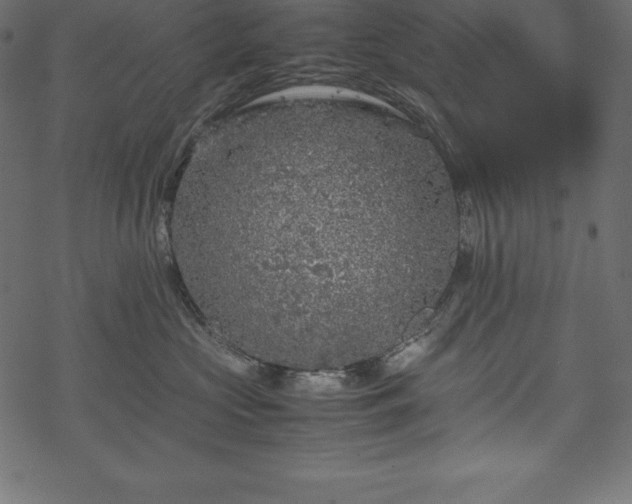 X0000070190573200605301315