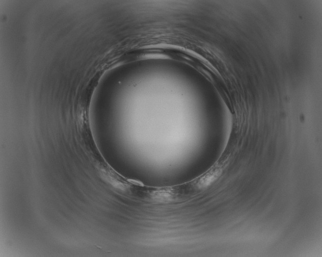 X0000070190574200605301315