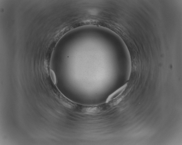 X0000070190575200605301315