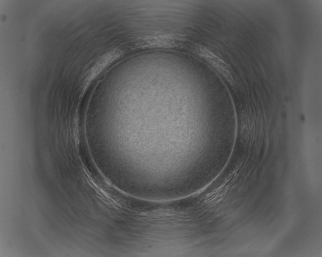 X0000070190578200605301315