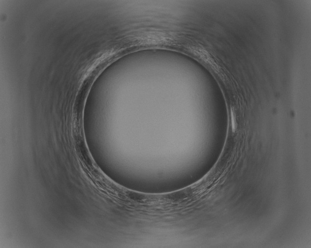 X0000070190579200605301315