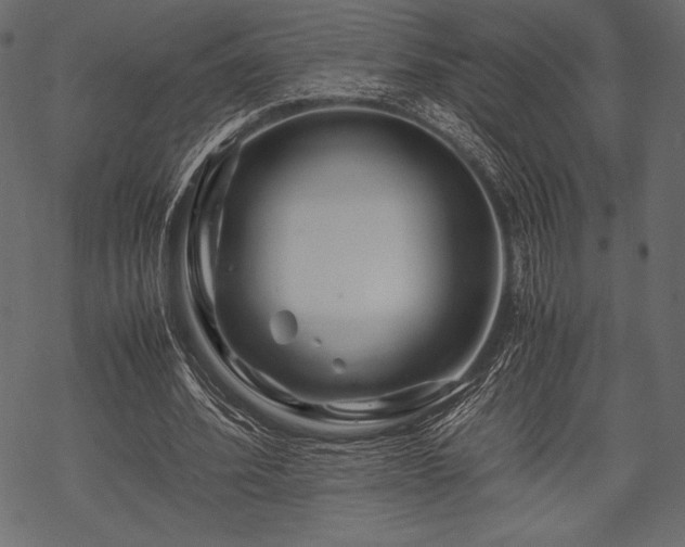 X0000070190580200605301315