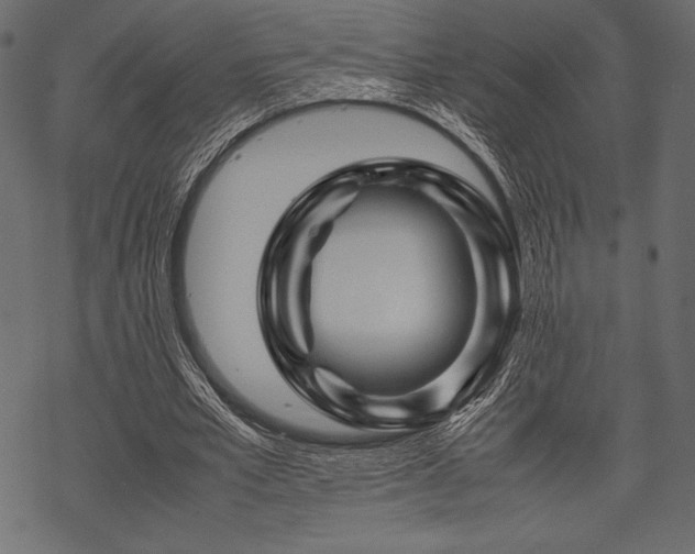 X0000070190581200605301315