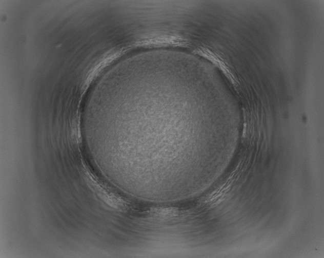 X0000070190582200605301315