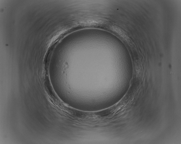 X0000070190583200605301315