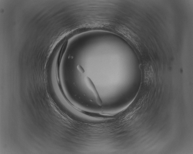 X0000070190584200605301315