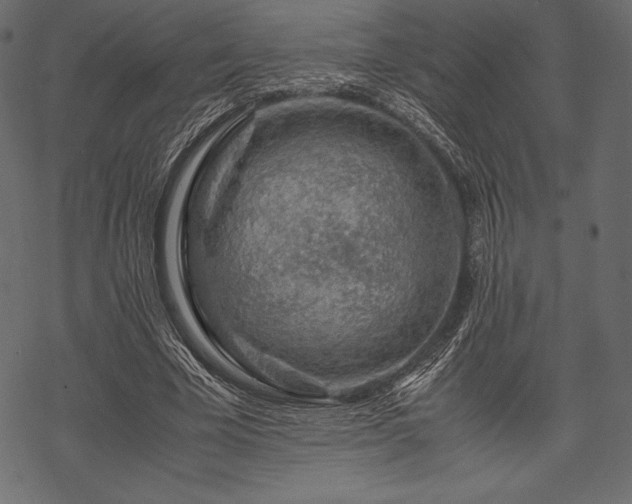 X0000070190585200605301315