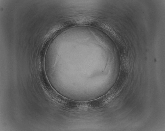 X0000070190587200605301315