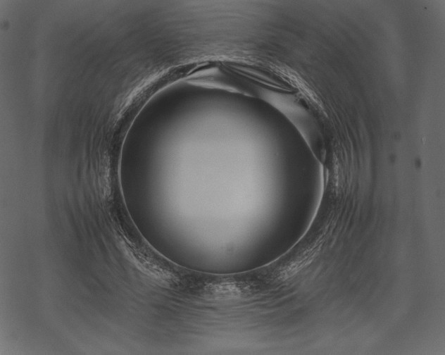 X0000070190588200605301315