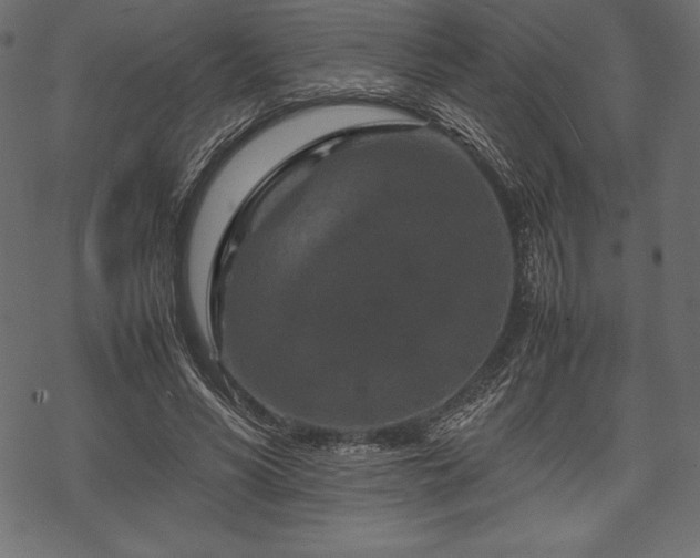 X0000070190590200605301315