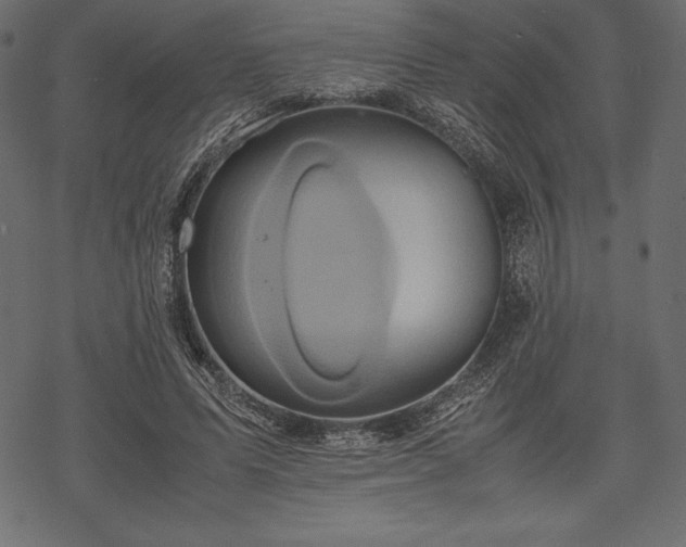 X0000070190591200605301314